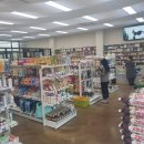 애니 팜 이미지