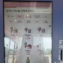 베스킨라빈스31인천 | 베스킨라빈스31 신상 소금우유 후기, 메뉴 사진까지 모두 담았어요.