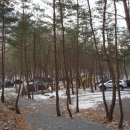 청도 힐링오토캠핑장 이미지