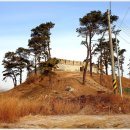 바다마을 펜션 호스텔 이미지