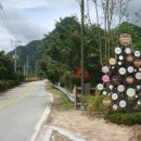 조양강 민박 이미지