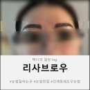 리사브로우 이미지