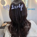 효자 동물병원 | 전주 효자동 미용실 헤어웰 효자점 레이어드 중단발 빌드펌 주차