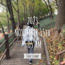 피자플래넷2호점 | 찐한 힐링의 시간, 인더로컬의 1박 2일 동인천 웰니스 여행 후기