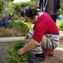 일성 경로당 이미지