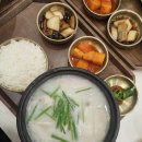 몽실펫 | 김포공항 롯데몰 애견동반 식당 🐾 몽실 · 돼지국밥 맛집 · 내돈내산 후기