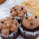 제과제빵(목) 이미지