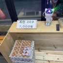 신안정육점 - 천안시 동남구 신부12길 26 | 신안정육점