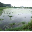 원관원제 이미지