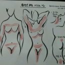 바르는 여성 호르몬제 우먼스 포뮬러 효능을 여기에 올림니다 이미지