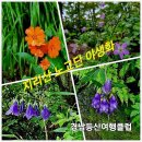 7월28일(일/당일)지리산 노고단(운해,일출) / 뱀사골계곡 / 천년의 정원 이미지