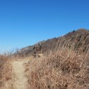 천등산농원 이미지