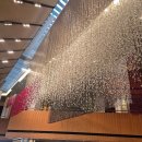 더베이징 | 신라호텔 더 파크뷰 뷔페 주말 런치 후기 - 대게, 베이징덕부터 크리스마스 케이크 실물까지