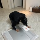 그림온 이미지