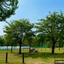 춘천호반쉼터 이미지