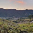 천천면광산마을 이미지