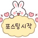 솔언덕펜션 이미지