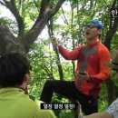 한사랑 이미지