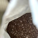 (봄맞이) 홈가드닝 | 화분분갈이 거목 최고급 분갈이흙