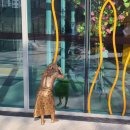 선사시대로 테마거리 이미지