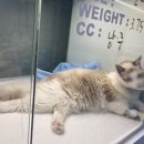 메이동물병원 이미지