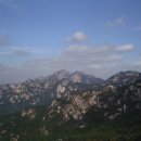 호계초등학교 이미지