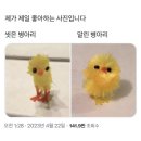 개구리반찬 이미지