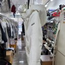 네파진주