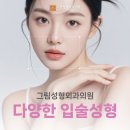 그림성형외과의원