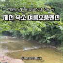 여름소풍 | 제천 숙소 추천 여름소풍펜션 솔직 리뷰 | 시원한 계곡이 바로 앞에 있는 곳!