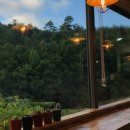 스테이523 이미지