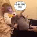 은지공방 | [공지] 5월 | 여름은 찾아가지 않더라도 우리에게 올 거야.