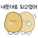 여수냉삼