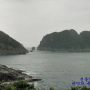 까치와 산토리나 이미지