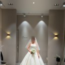 위더스 뷰티 | [Ch.20]안양더이로뷰티_타투커버후기