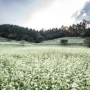 청주밋션 이미지