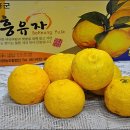 유자