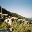 웅이네민박 이미지