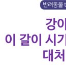 이솝동물메디컬 이미지