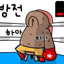 BOXING STORY 이미지