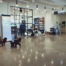 마오네 문덕점 이미지