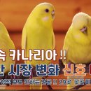 탄광속 카나리아가 보내는신호!! 저축은행 연체 , 카드 연체 , 교육비 지출 감소 , PF 문제 , 건축비 문제 , 고분양가 문제 청약 이미지