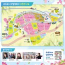 갈밭사랑영농조합법인 | [하동] 추석연휴 가을꽃축제추천 북천코스모스메밀꽃축제 대박! 실시간 개화상황 입장료 정보