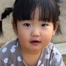 2026 'SiOn's appearance following the time! (8) 이미지