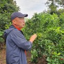 정진수농장 이미지