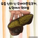 디저트뒤쥬르 | 노원 디저트뒤쥬르 두바이쫀득쿠키 솔직 후기｜웨이팅·가격·맛 리뷰