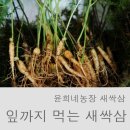 윤희네농장 이미지