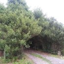 올챙이캠핑장 이미지