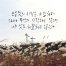 (주)제주왕 네이버블로그