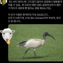 주간 일기 14 | 시드니 출국과 어떠한 마음가짐 | 호주 워홀 | 250421-23
